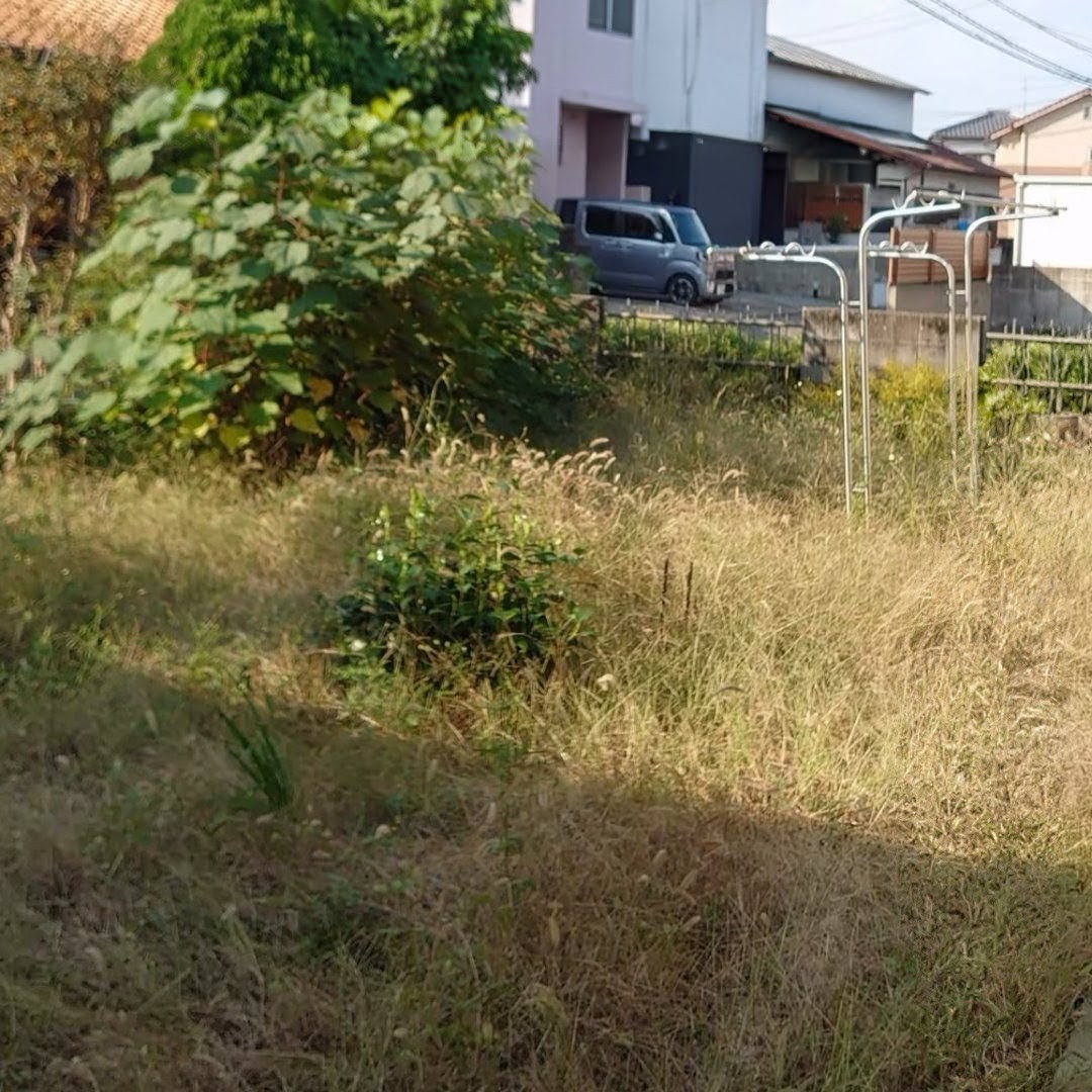 庭の草刈り・整地 施工前