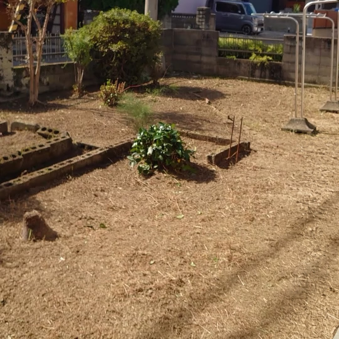 庭の草刈り・整地 施工後